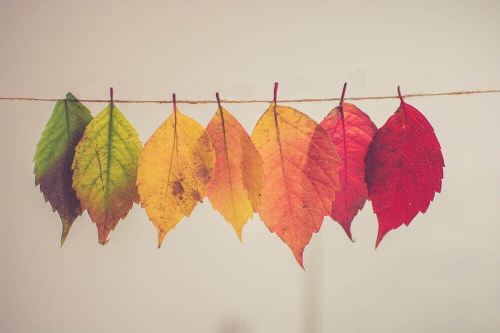 Change through cognitive hypnotherapy